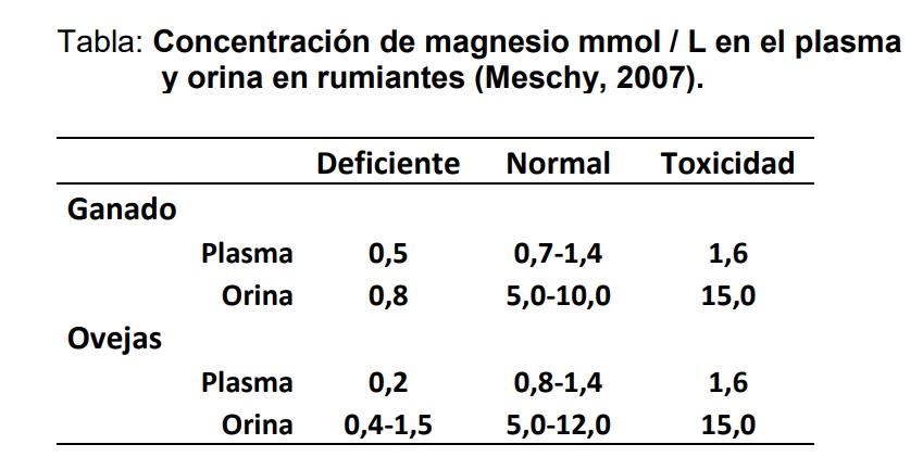 Magnesio y fósoforo: minerales clave en la nutrición del ganado - Image 1