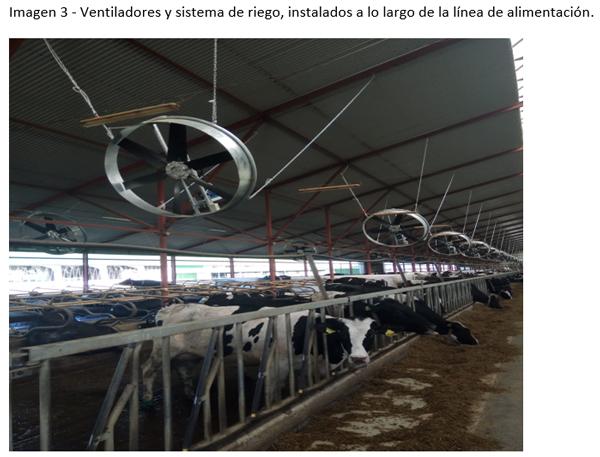 La implementación de un sistema de enfriamiento intensivo en una granja lechera a gran escala en el sur de Rusia - Image 6