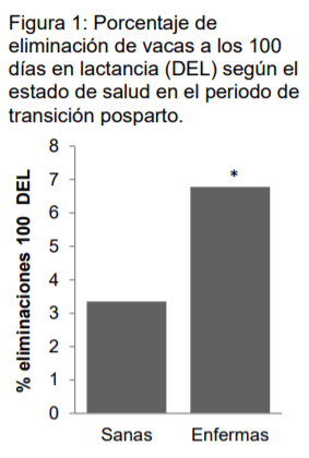 ¿Las enfermedades del periodo de transición son un factor de riesgo para eliminar tempranamente una vaca del rebaño? - Image 1