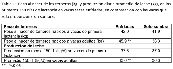 Las vacas secas también necesitan enfriamiento en verano - Image 1