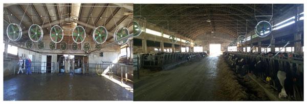 Dos años de experiencia en enfriamiento de vacas en Italia - Image 9