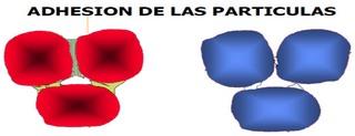 Efectos de la peletizacion en aves y cerdos - Image 11