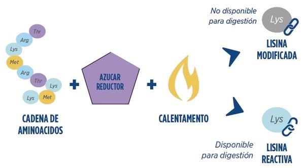 Efectos de la peletizacion en aves y cerdos - Image 16