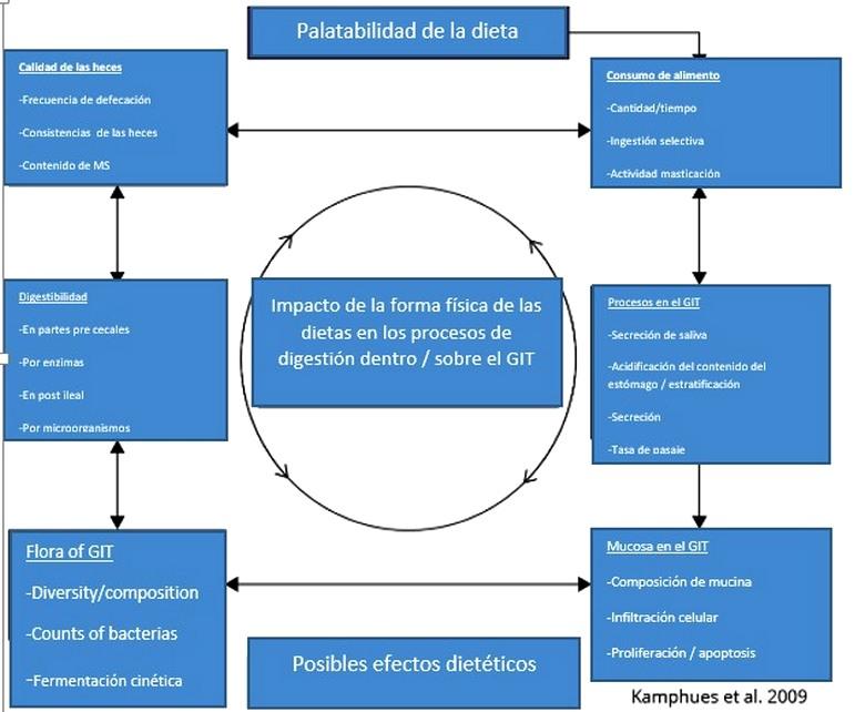 Efectos de la peletizacion en aves y cerdos - Image 2
