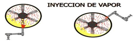 Efectos de la peletizacion en aves y cerdos - Image 6