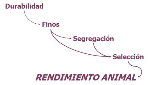 Efectos de la peletizacion en aves y cerdos - Image 8