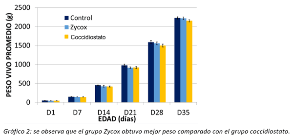 Parasitosis por protozoos en pollos - Image 4