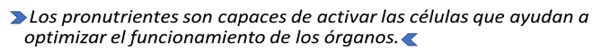 Parasitosis por protozoos en pollos - Image 7