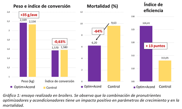 Parasitosis por protozoos en pollos - Image 3