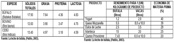 EL búfalo de agua como alternativa sostenible, económica y alimentaria para Panamá - Image 4