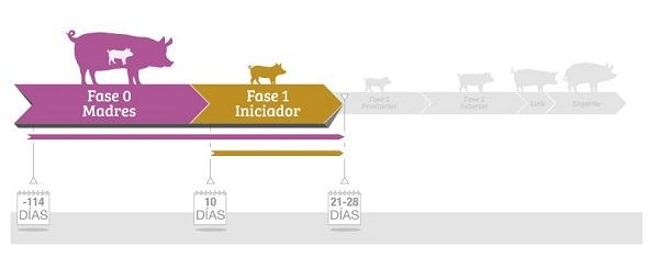 Madres: Programas nutricionales de Produmix - Image 1