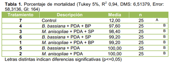 Evaluación de la eficacia de Metarhizium anisopliae y de Beauveria bassiana sobre el control de picudos asociados al cultivo de vid, utilizando activadores de patogenicidad - Image 3