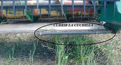 Cosecha eficiente de Colza, Factores a tener en cuenta para cosechar Colza con menos pérdidas - Image 1