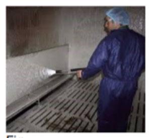 GMP – Implementacion en granjas de cerdo - Image 4