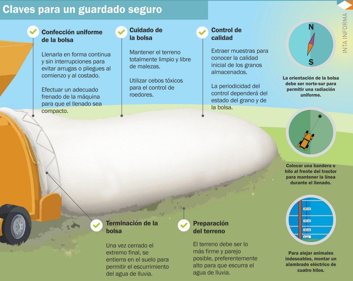 Poscosecha: pautas para lograr un almacenamiento seguro - Image 4