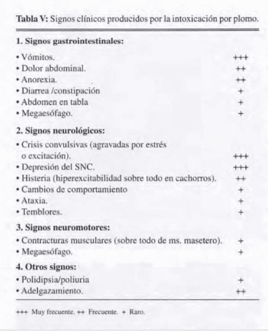 Intoxicación por plomo - Image 6