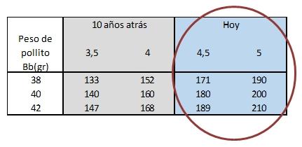 Manejo integral de pollitos en invierno - Image 10