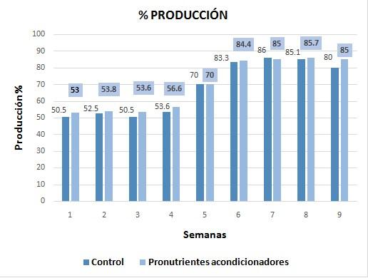 Salud intestinal en gallinas ponedoras - Image 4