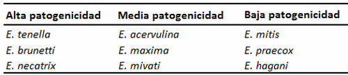 Uso Estratégico de Anticoccidiales Ionóforos y Combinaciones de Ionóforos Potencializados en la Industria avícola - Image 11