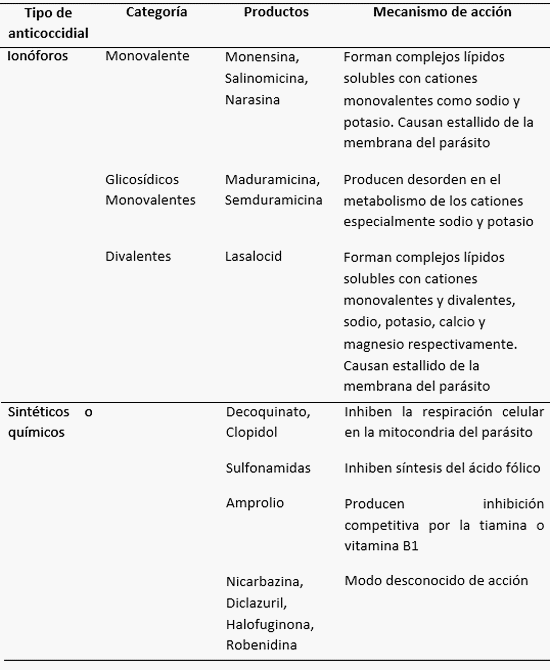 Uso Estratégico de Anticoccidiales Ionóforos y Combinaciones de Ionóforos Potencializados en la Industria avícola - Image 12