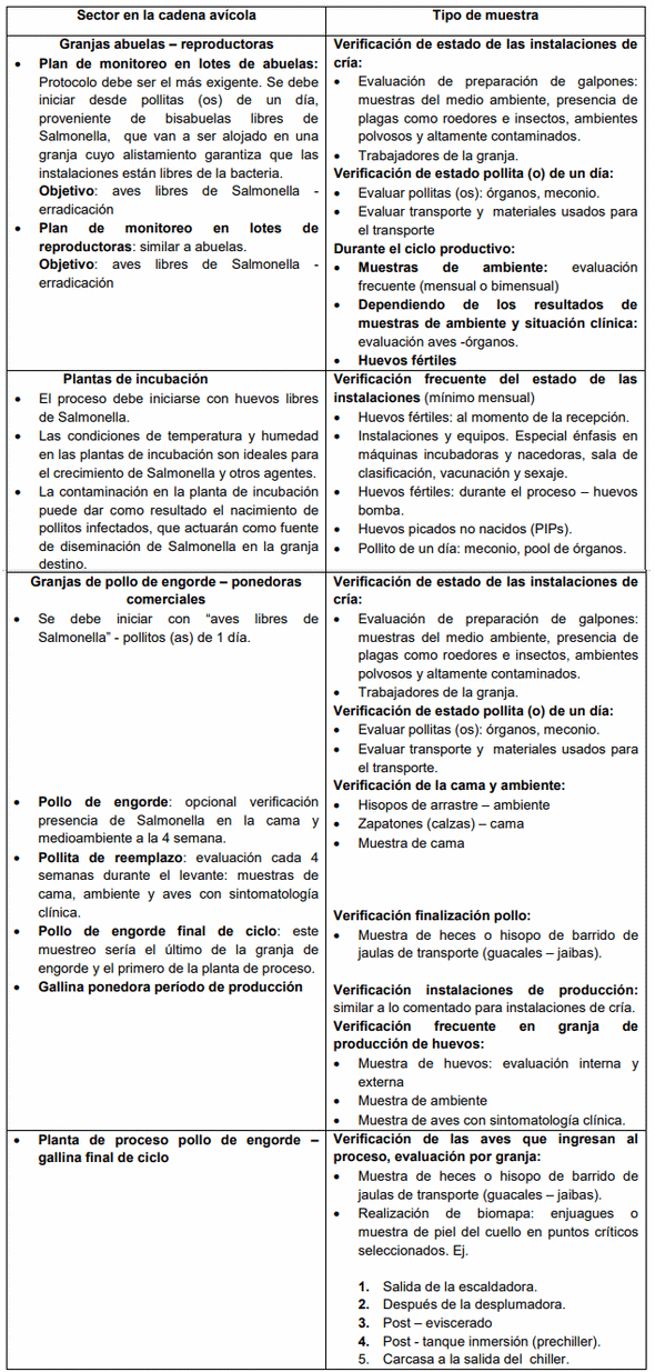 Diagnóstico e Identificación de serotipos de Salmonella a partir de muestras de avicultura: importancia de un buen muestreo. - Image 1