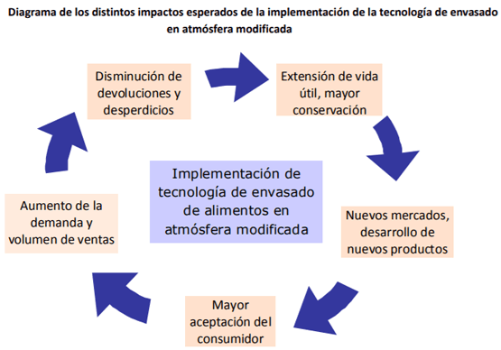 Envasado en atmósfera modificada y controlada - Tecnologías para la Industria Alimentaria - Image 5