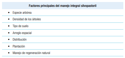 Sistemas silvopastoriles en Mesoamérica para la restauración de áreas degradadas - Image 23
