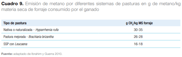 Sistemas silvopastoriles en Mesoamérica para la restauración de áreas degradadas - Image 27