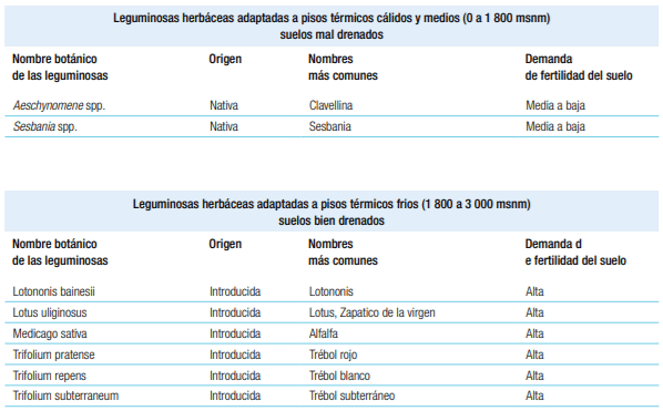 Sistemas silvopastoriles en Mesoamérica para la restauración de áreas degradadas - Image 38