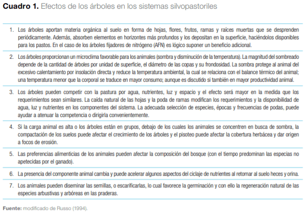 Sistemas silvopastoriles en Mesoamérica para la restauración de áreas degradadas - Image 4