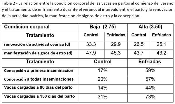 Las vacas paridas a principios del verano deben estar en condiciones corporales adecuadas, además de ser enfriadas intensamente - Image 2