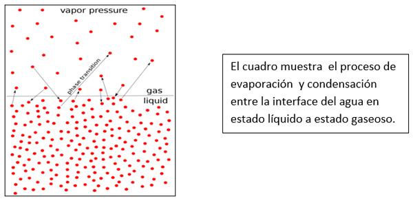 Manejo del estrés calórico en el trópico húmedo de Latinoamérica - Image 8
