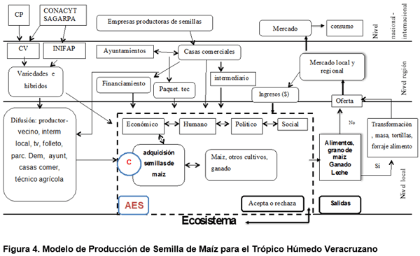 Modelo de producción de semilla de maíz para el trópico húmedo veracruzano - Image 4