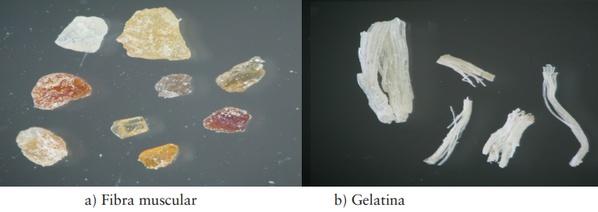 Revisión de los principales métodos de detección e identificación de proteínas animales procesadas en alimentos balanceados - Image 1
