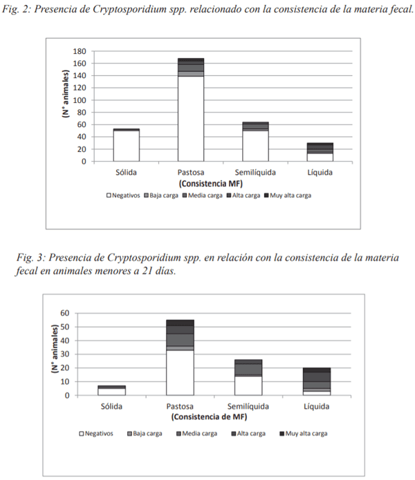 Presencia de Cryptosporidium spp. en terneros de establecimientos lecheros de la provincia de Santa fe (Argentina) - Image 3