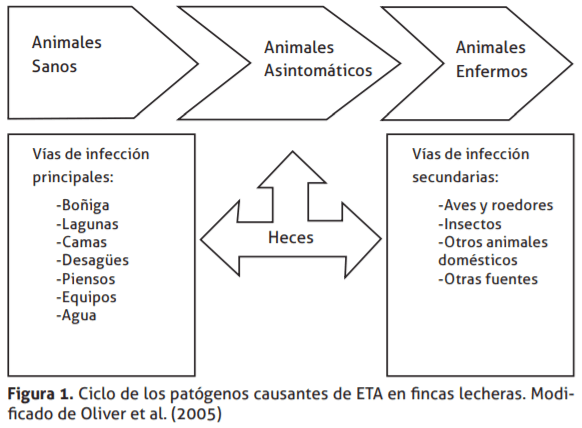 Conceptos sobre inocuidad en la producción primaria de la leche - Image 1
