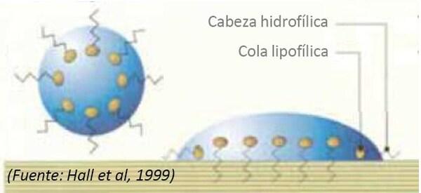 Surfactantes - Image 1