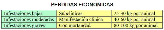 Manual técnico: Antiparasitarios Internos y endectocidas de Bovinos y Ovinos - Image 1