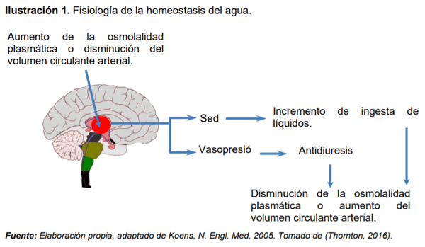 El agua en la producción lechera - Image 3