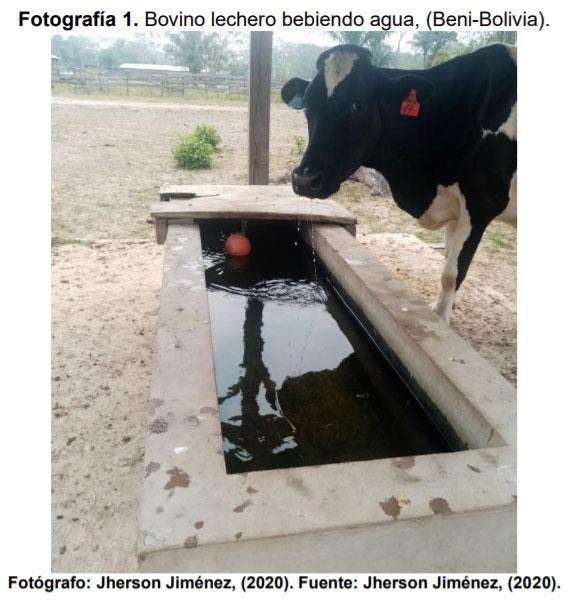 El agua en la producción lechera - Image 2