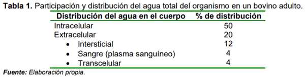 El agua en la producción lechera - Image 1