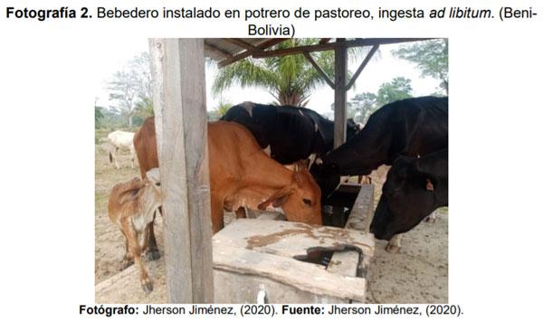 El agua en la producción lechera - Image 7
