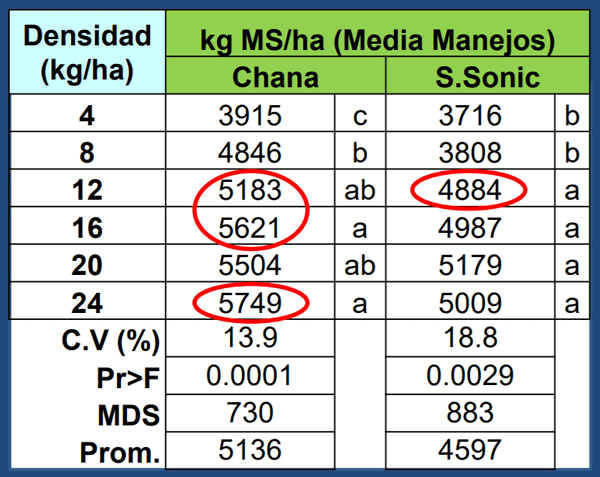 Análisis Conjunto (Media Manejo y Cultivares)