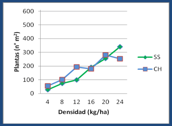 Número de plantas/m2 a los 15 DPS (19/06)