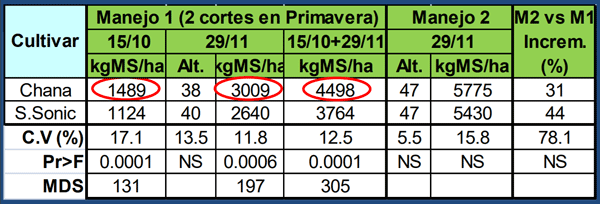 Análisis Conjunto (Media Densidades)