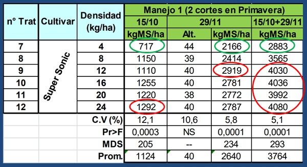 Evaluación de Implantación de 2 cultivares de Alfalfa (Medicago sativa L.) en siembra directa con distintas densidades sobre un rastrojo de maíz (Zea mays). - Image 7