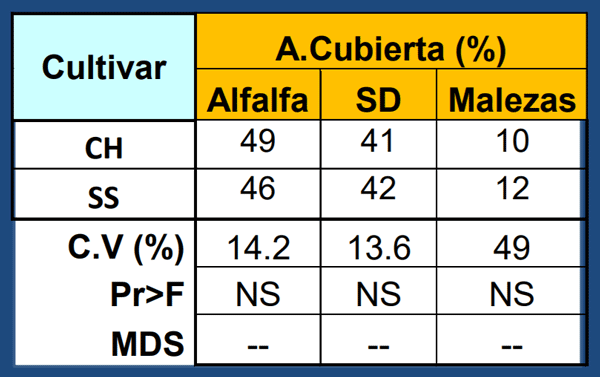 Media de densidades de siembra para los diferentes cultivares