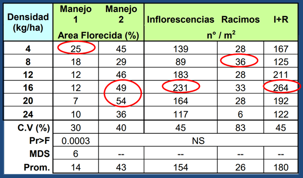 Dif. entre manejos = densidades. N° Infl. N° inf+Racimos: NS Tendencia < dens. siembra > Valores . Contrario sucedido implantación y en Prod. de forraje, coincidiendo con la mayoría de la bibliografía revisada.