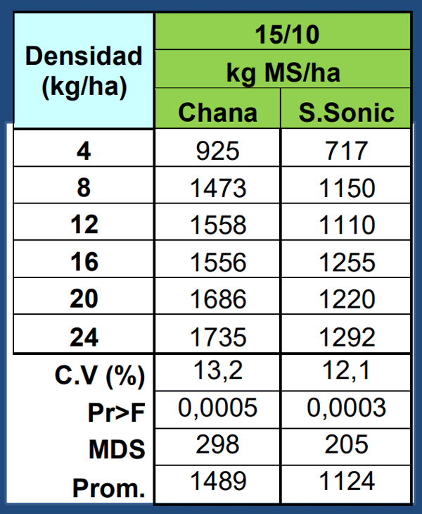 Evaluación de Implantación de 2 cultivares de Alfalfa (Medicago sativa L.) en siembra directa con distintas densidades sobre un rastrojo de maíz (Zea mays). - Image 4