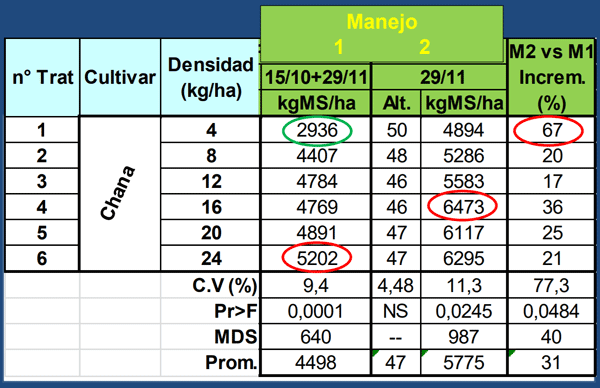 Evaluación de Implantación de 2 cultivares de Alfalfa (Medicago sativa L.) en siembra directa con distintas densidades sobre un rastrojo de maíz (Zea mays). - Image 6